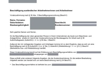 https://www.arbeitsagentur.de/unternehmen/fachkraefte-ausland/vorabzustimmung-fuer-auslaendische-beschaeftigte